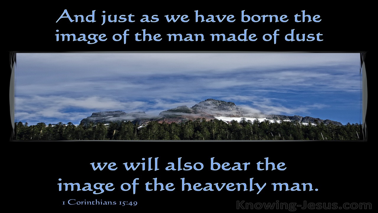 1 Corinthians 15:49 We Bear The Image Of The Heavenly Man (black)